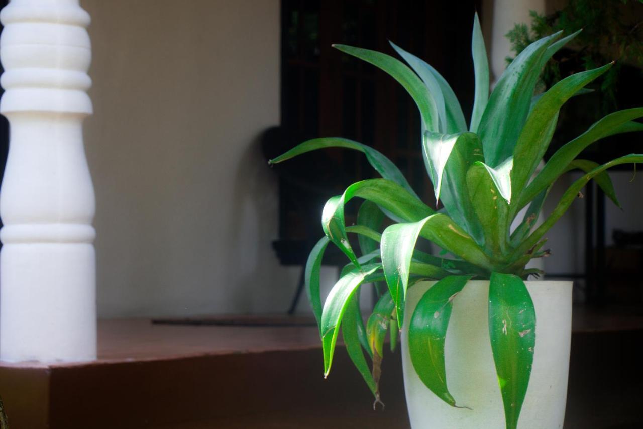 Jungle View Guesthouse Unawatuna Zewnętrze zdjęcie