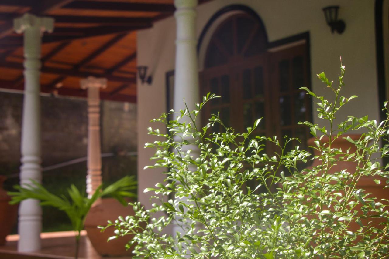 Jungle View Guesthouse Unawatuna Zewnętrze zdjęcie